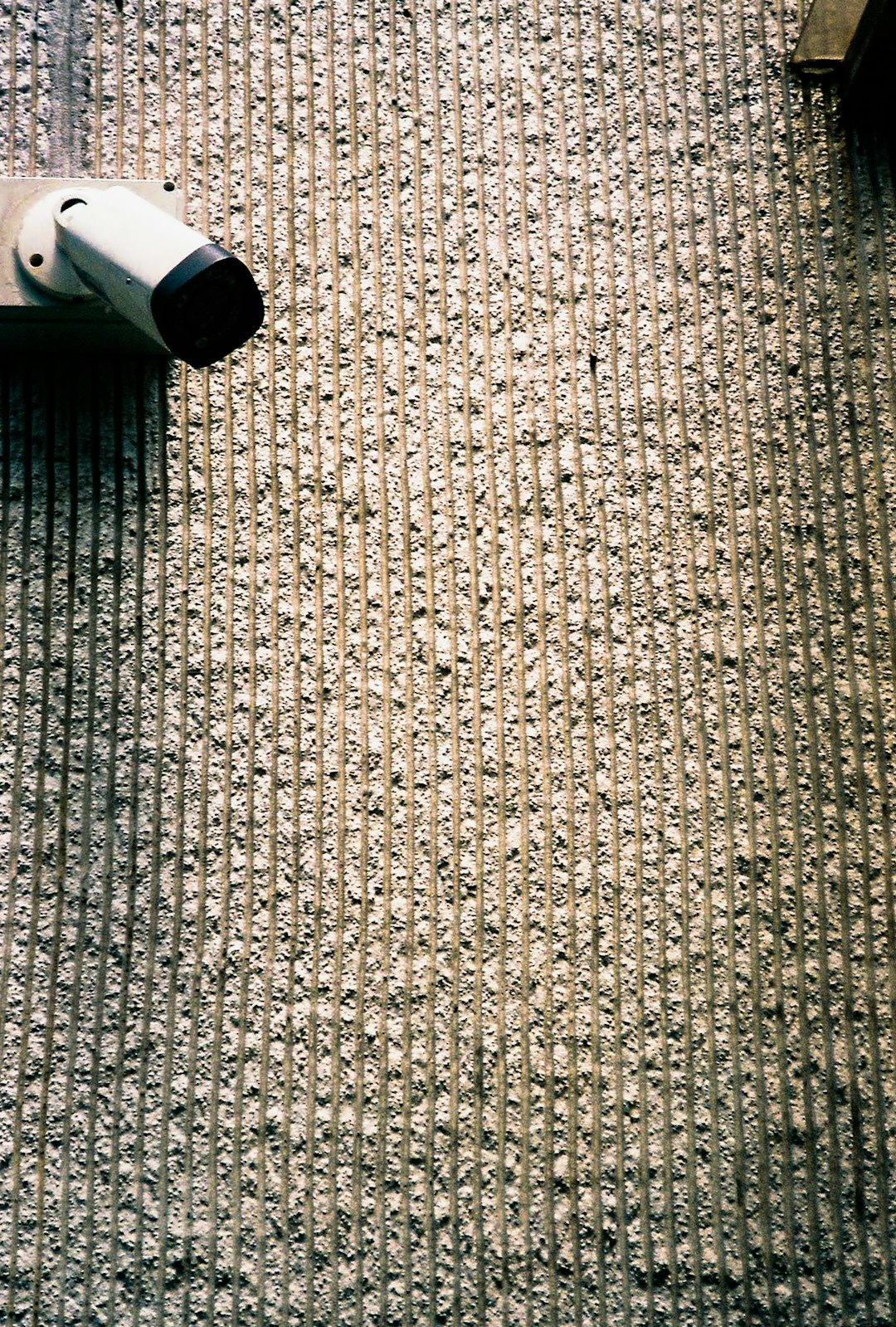 Nettoyage de tapis